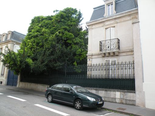  Maison avec parc boisé, rue Hermite